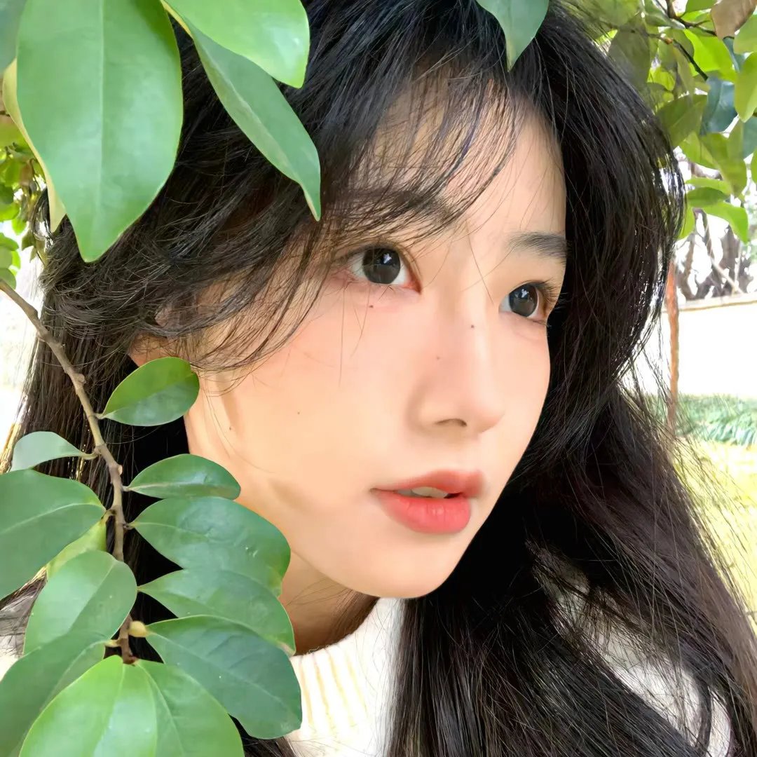 春笑柳花